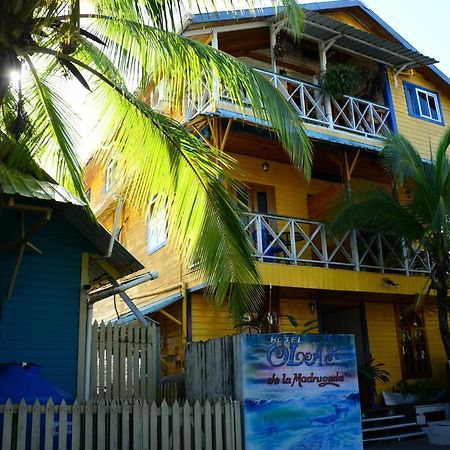 Hotel Olas ボカス・タウン エクステリア 写真
